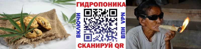 Canna-Cookies конопля  площадка состав  Порхов 