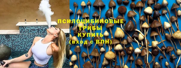 не бодяженный Арсеньев