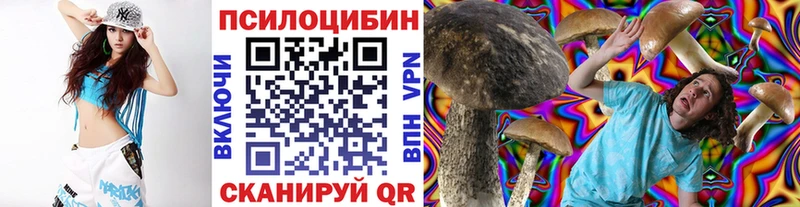 mega маркетплейс  купить  цена  Порхов  Галлюциногенные грибы GOLDEN TEACHER 
